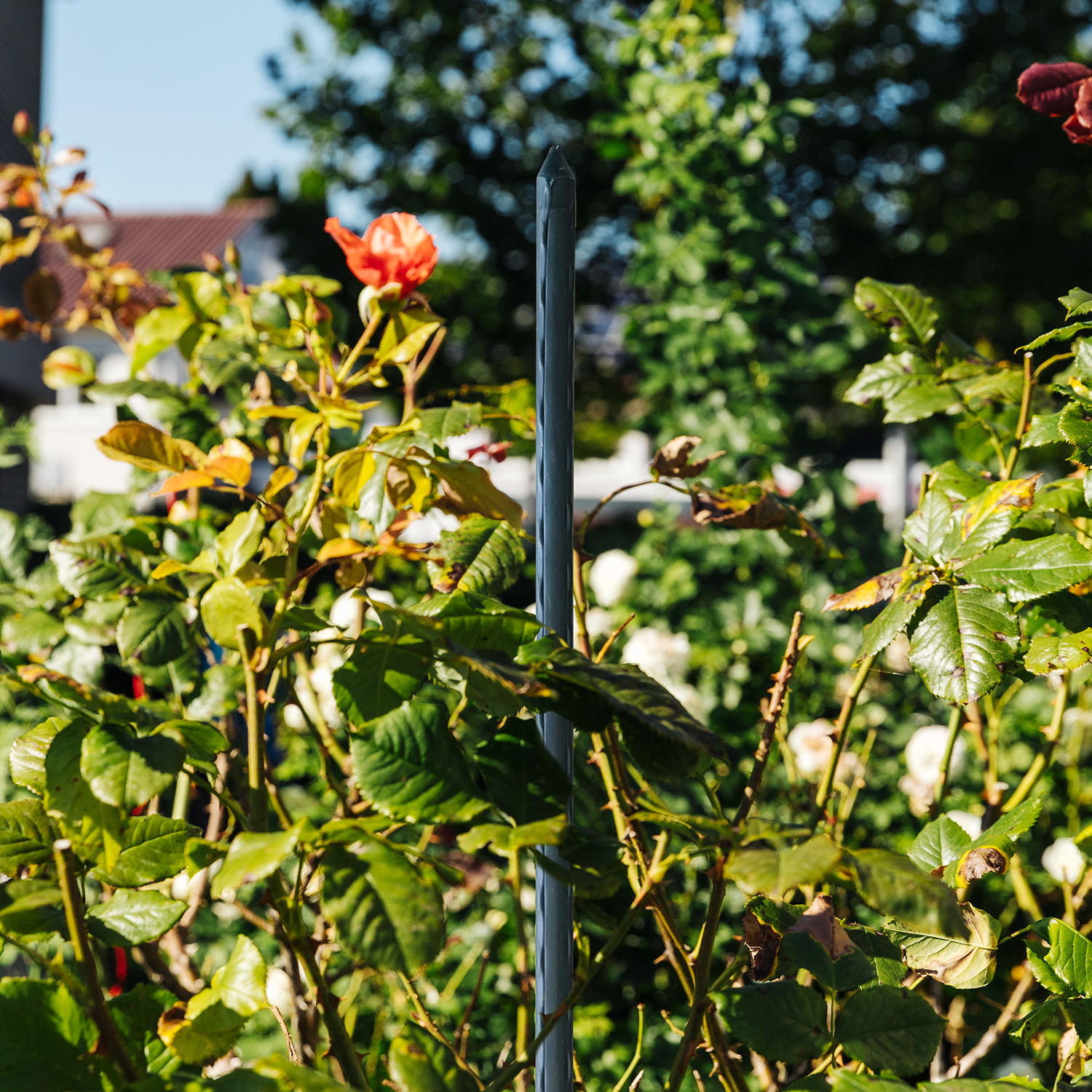 Pflanzstab L 180 G Pflanzstab L 180 G
